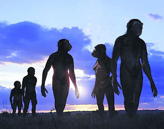 Где родилось человечество?