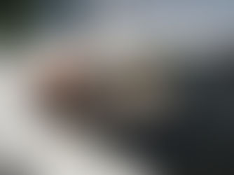 Человек, построивший острова