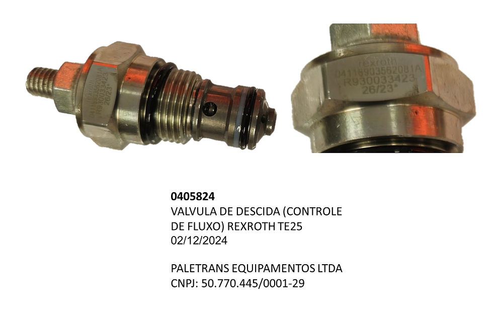 VALVULA DE DESCIDA (CONTROLE DE FLUXO) REXROTH TE25 - Código 0405824