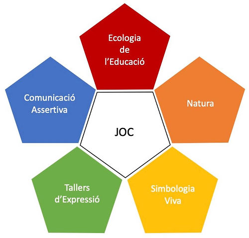 flor pedagogica.jpg