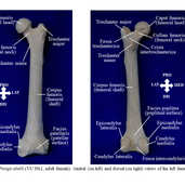 Slide3 (2).PNG
