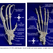 Slide7 (2).PNG
