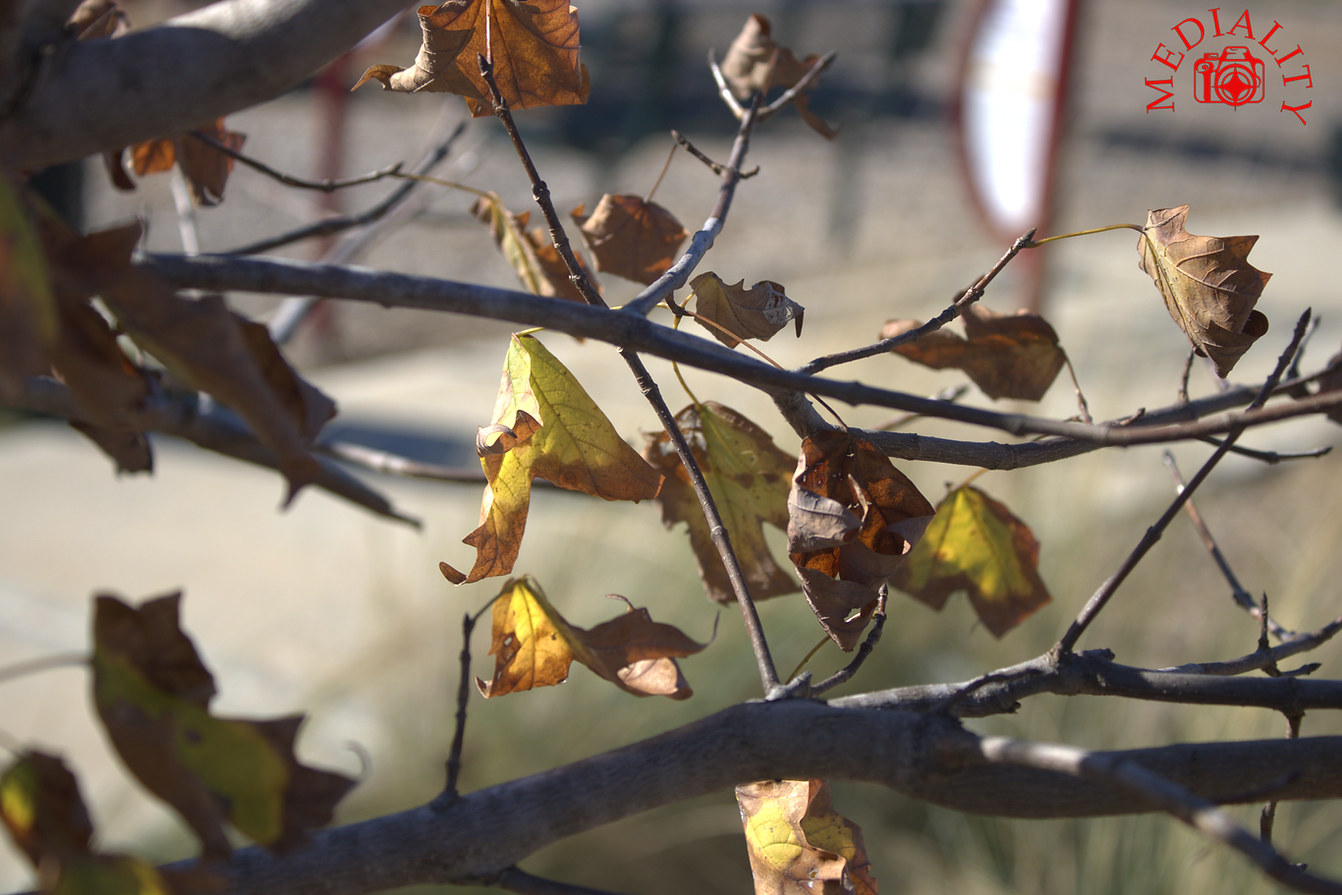 IMG_1713.png