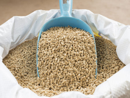 Pet Food and Animal Feed Enzymes Market Size, Growth Rate, Industry Opportunities 2023-2029