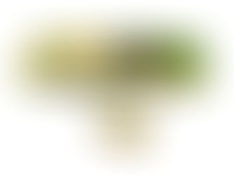 Electromagnetic (EMI) Shielding Market Analysis: Anticipated 2.1% GAGR in the Upcoming Years