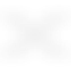 Tetraalkoxysilane Market Deep Analysis with USD 379.1million by 2029, at a CAGR of 5.9%