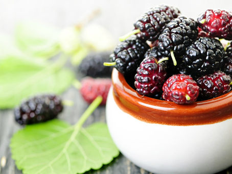 Mulberry Extract Market 2023 Driving Factors Forecast Research 2029 | BioSpectrum, Fuji-Sangyo