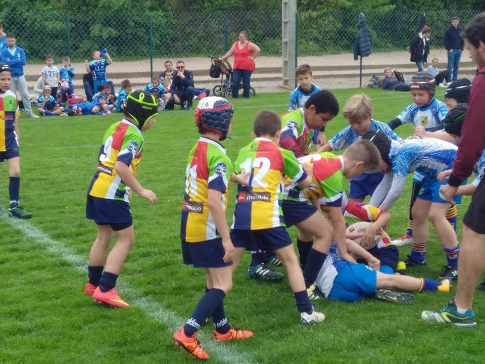 31531415_701121863391872_664979405019338840_n