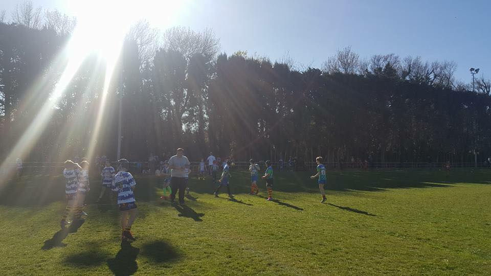 16999067_513398105497583_3279518609376127630_n