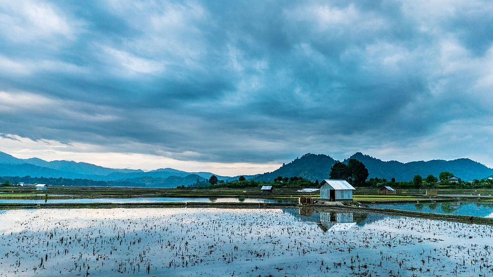 Scenery of fields full of water and a bluish grey cloudy sky with mountains in the background