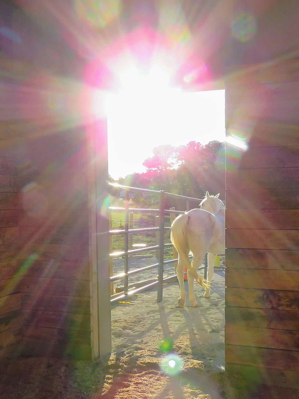September Ranch Tour