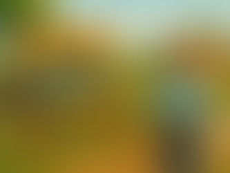 Village-Level Biosecurity: Building a Disease-Free Livestock Zone