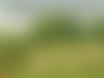 Agroforestry-Goat Farming Models: Integrating Crops, Trees and Livestock