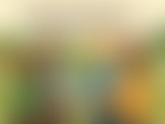 Weaving Rural Networks: Professionals Supporting Farmer-Producer Organizations in Livestock Sectors