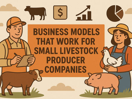Innovation at the Grassroots: Business Models That Work for Small Livestock Producer Companies