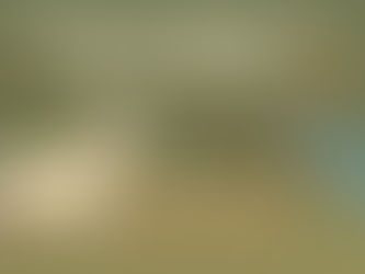 Parasite Pressure in Goat Farming: Prevention, Diagnosis & Treatment