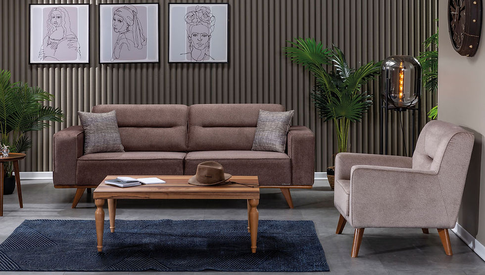 Thumbnail: Kelebek Koltuk Takımı