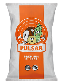 Bolsa Pulsar (1).png