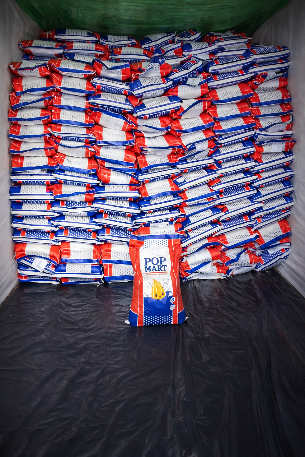 PopMart Shipment - Container loading