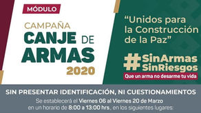 Buscan retirar armas de las calles
