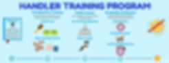 Handler Training Program (1).png