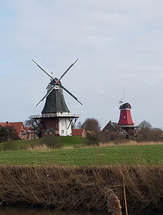 20190308_151426.jpg