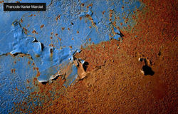 Francois-Xavier Marciat11