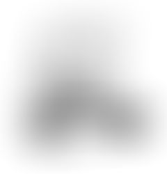 Write Everything Down