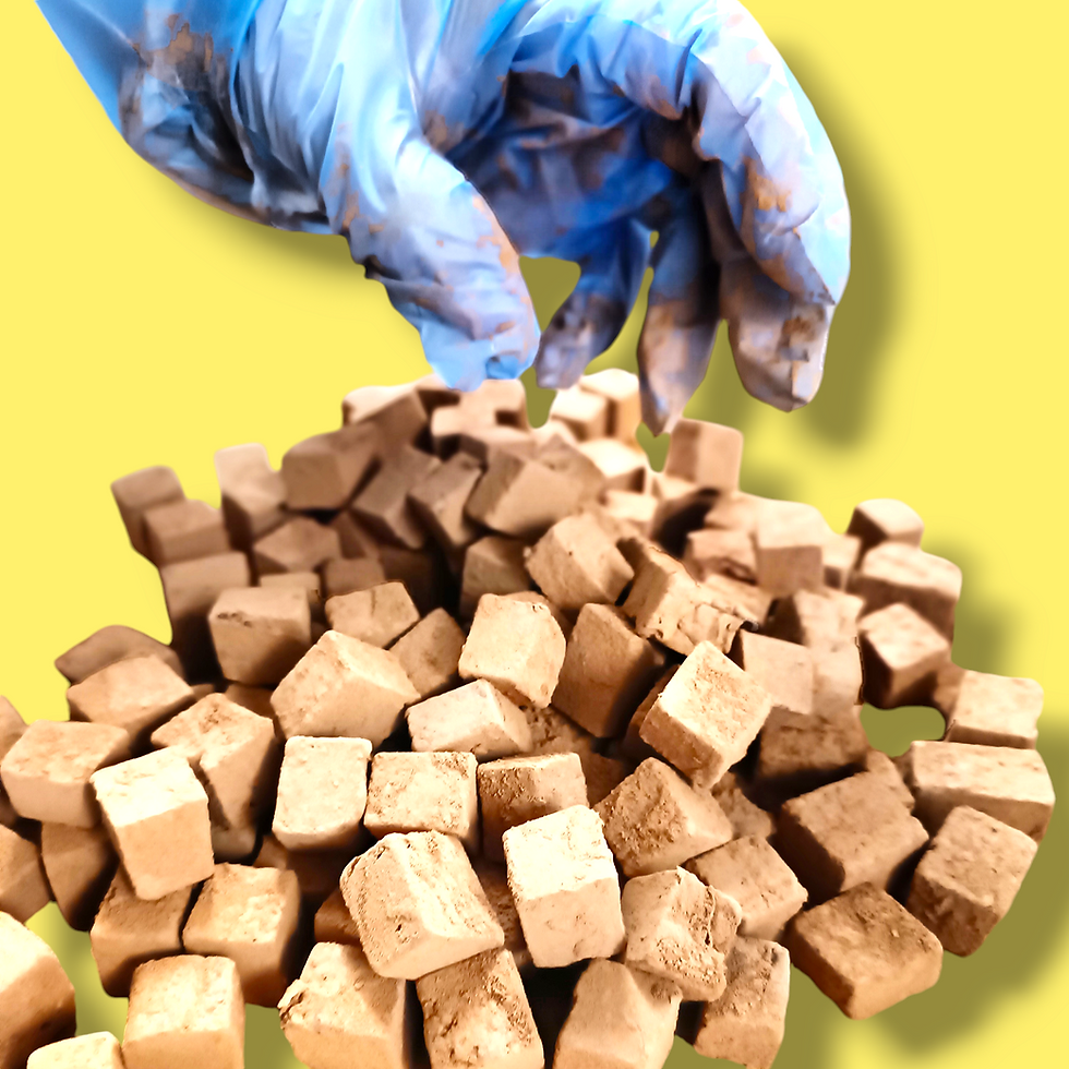 Thumbnail: DUSTED CHOCOLATE DRIED LEMON