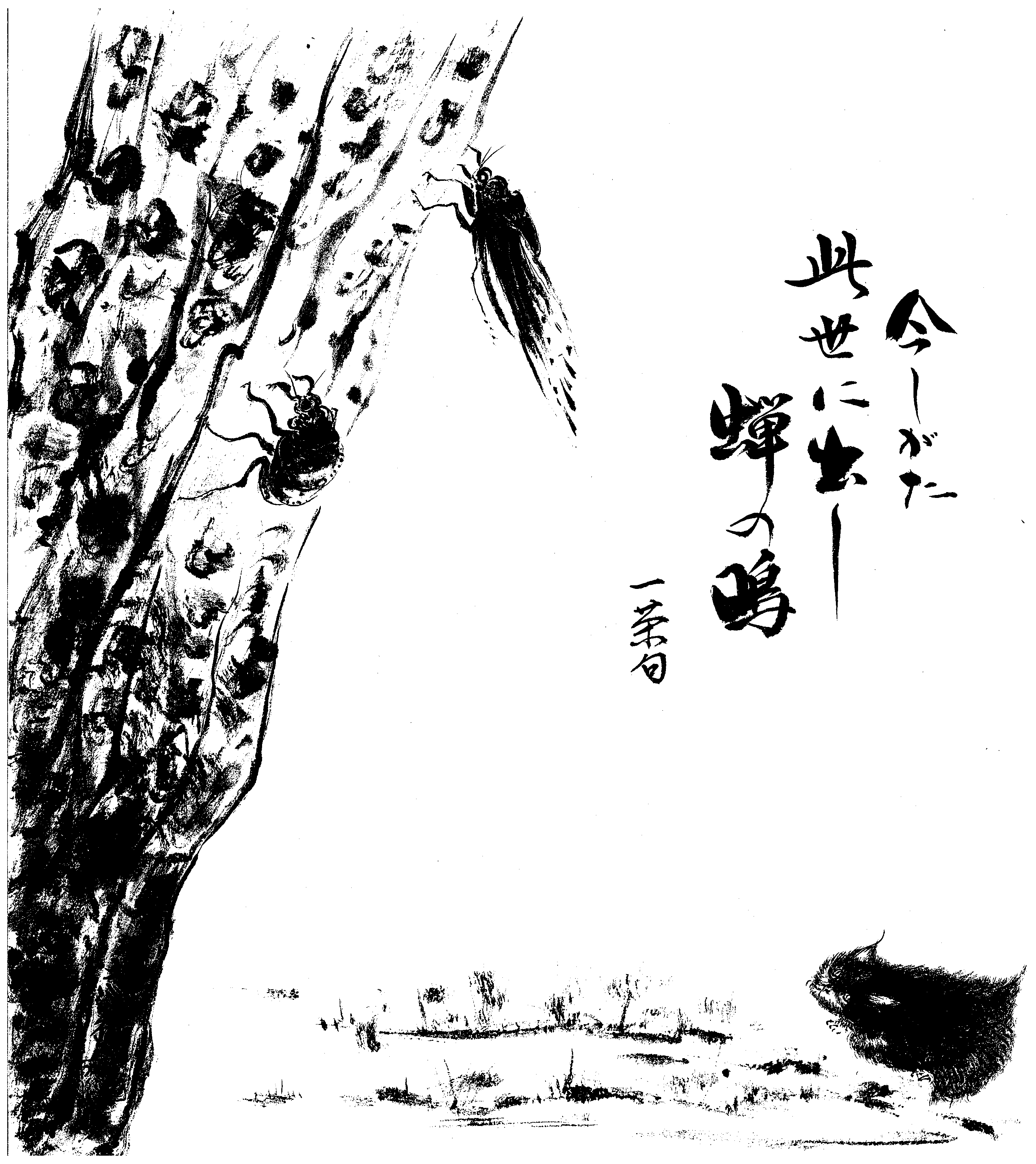 今しがた此世に出し蝉の鳴