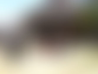 韓国のテレビ局の取材