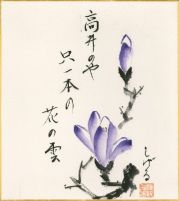 高井のや只一本の花の雲