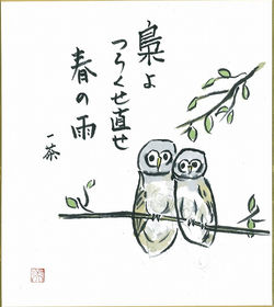 梟よつらくせ直せ春の雨