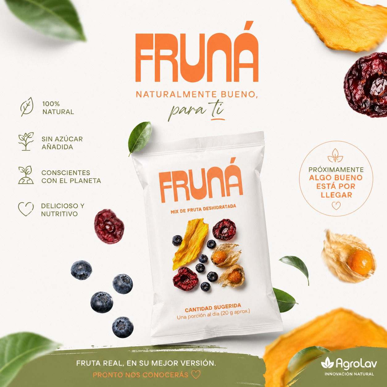 Mix de Fruta deshidratada (Tecnología REV)