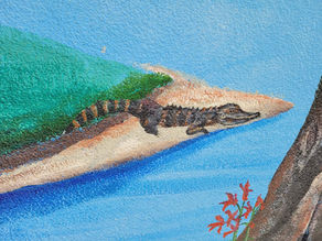 Alligators