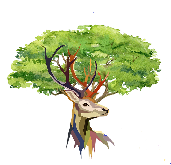 elevage de cerfs