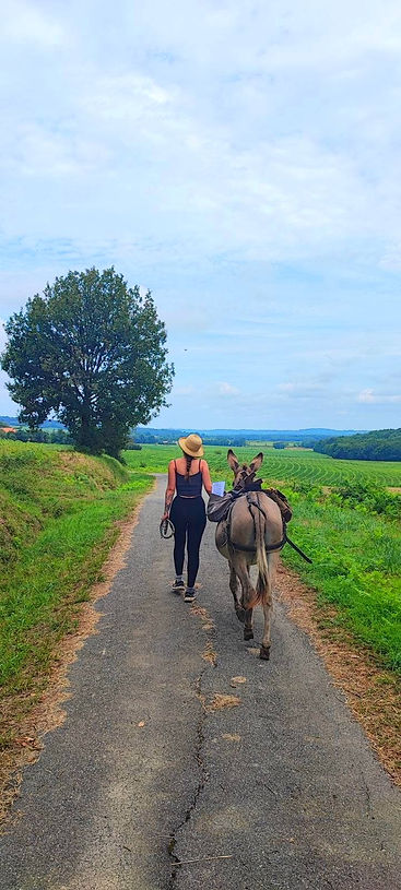 randonnée avec un âne