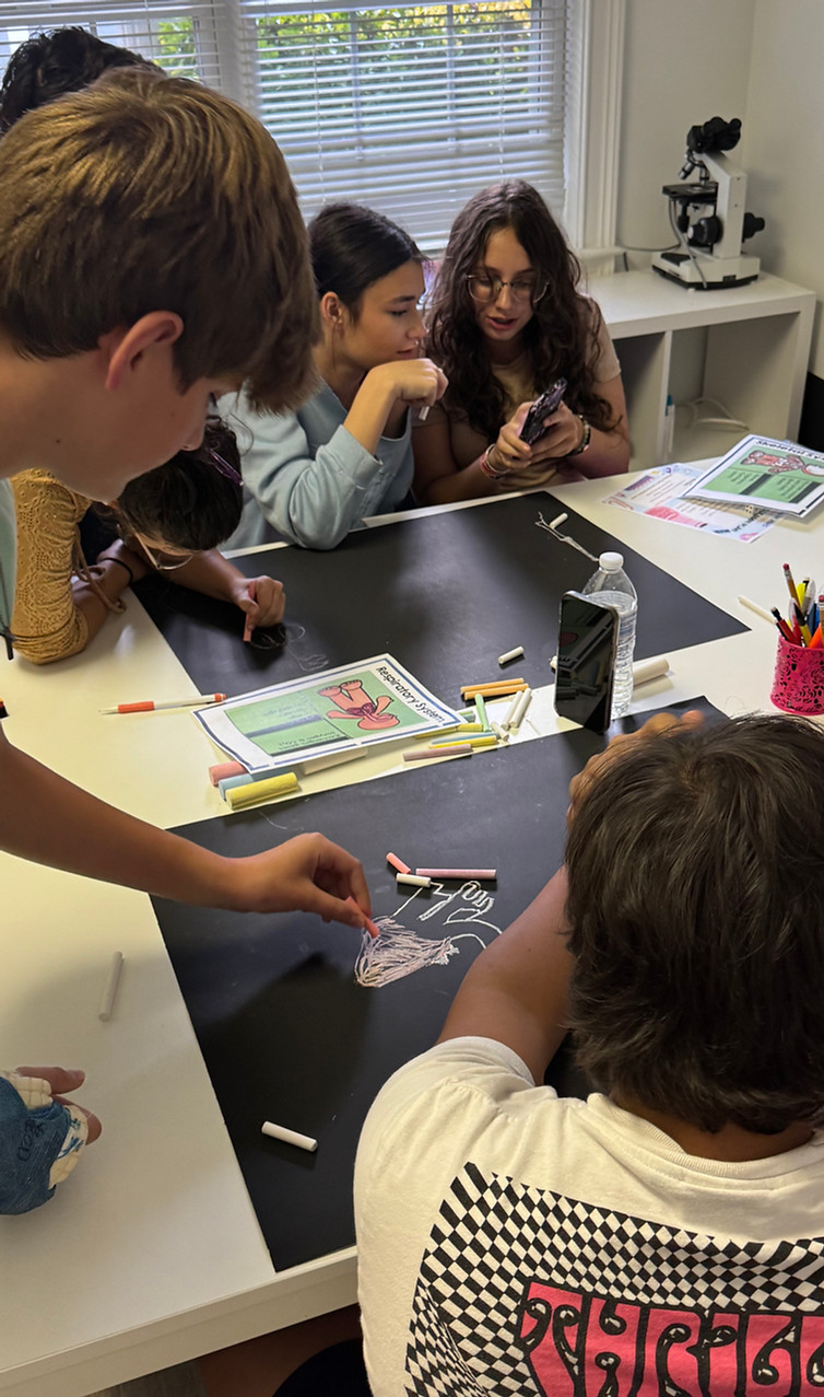 Homeschool students in small cohorts during Friday enrichment and community learning.