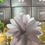 Miniatura: Linea Flower Diffuser