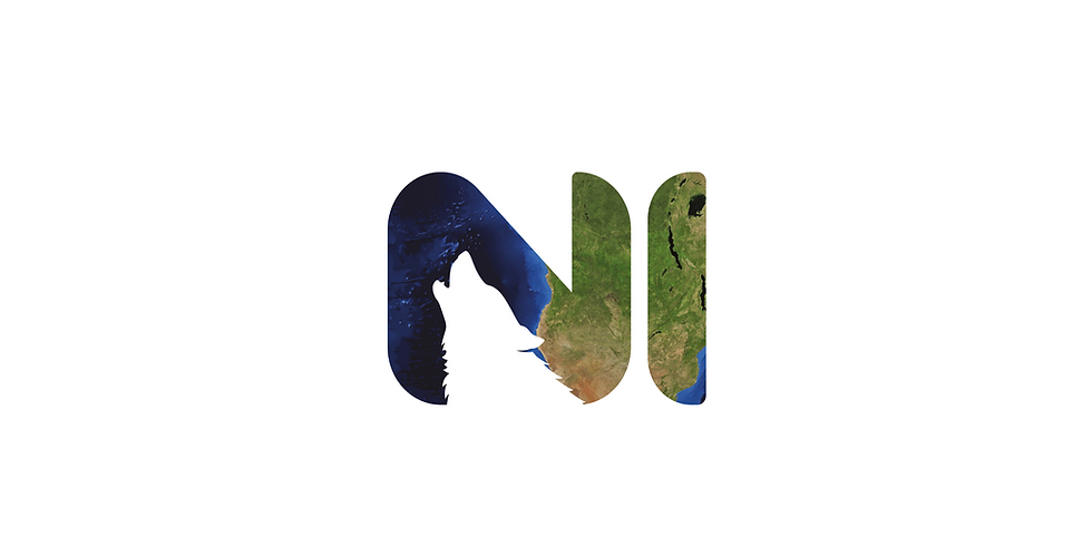NI for business - Postponed due to COVID closure of Ecohuis until 30/09