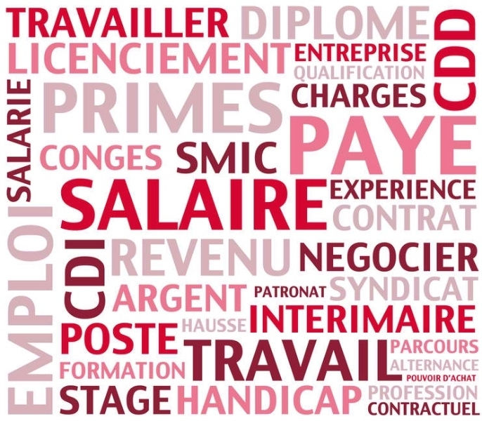 travail ddiplome salaire...