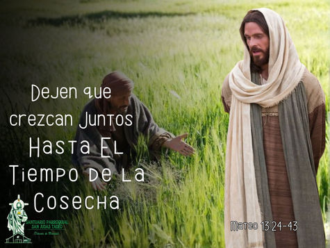 Lectura del día
