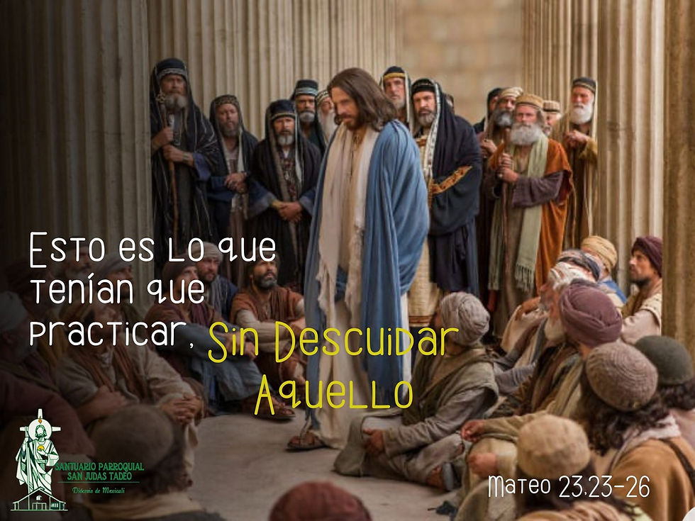 Lectura del día