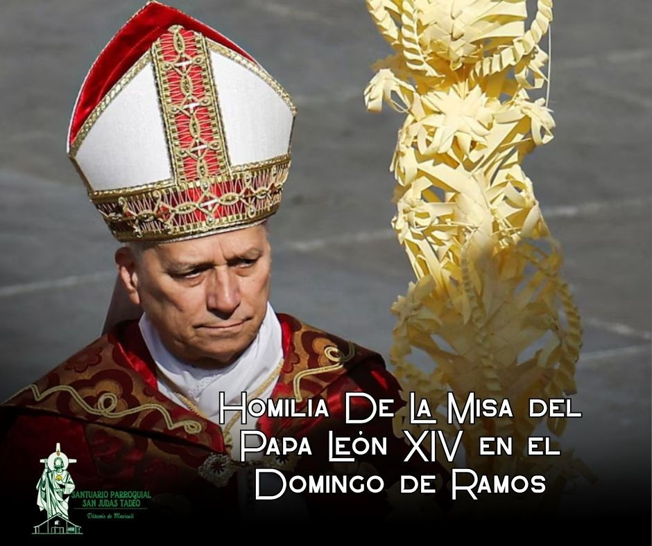 TEXTO COMPLETO: Homilía de la Misa del Papa León XIV en el Domingo de Ramos.