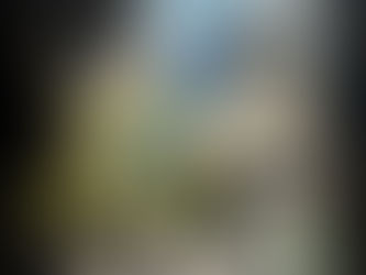 Así es como puedes ganar indulgencia plenaria todos los días de Cuaresma