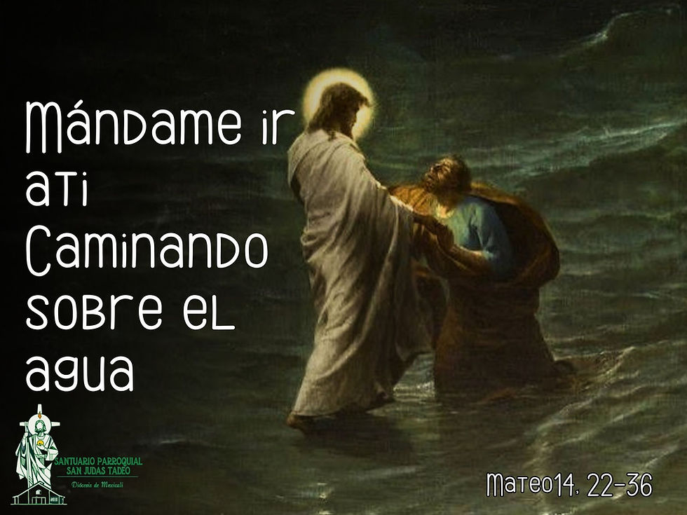 Lectura del día