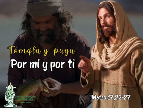Lectura del día