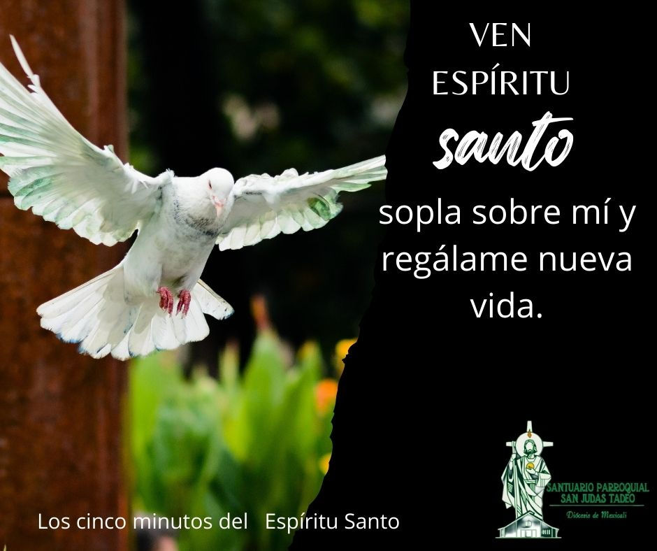 Los cinco minutos del Espíritu Santo