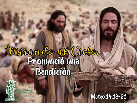 Lectura del día