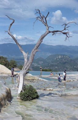img009.jpg